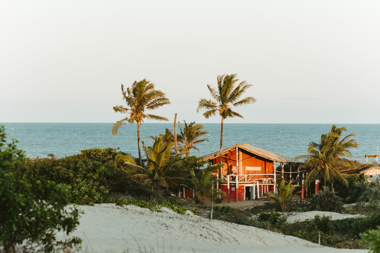 A beach house with palm trees and ocean in the background